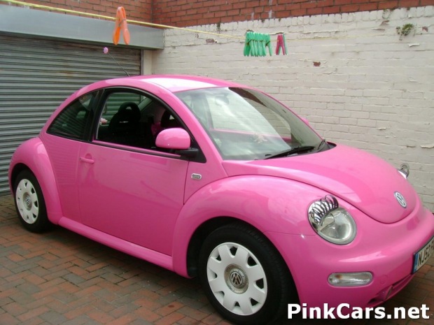 Herbie The Pink Beetle! - Michelle Fisher